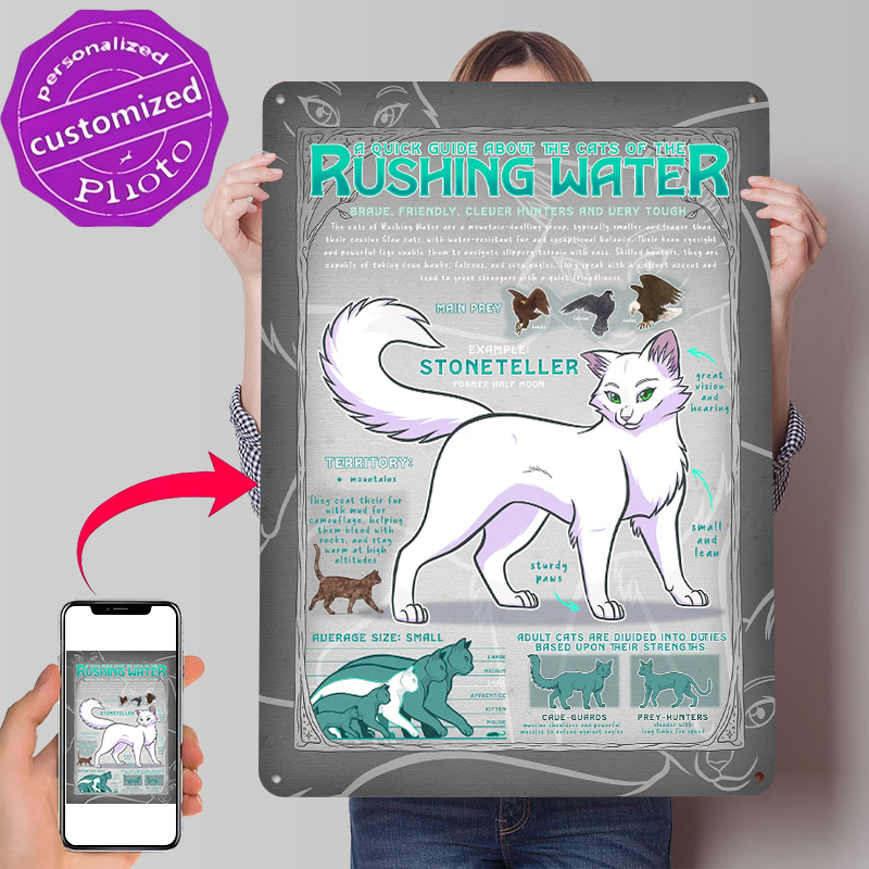 Guide to Rushing Water Cats Ti - Retro Gaming Guide บทวิจารณ์และราคา